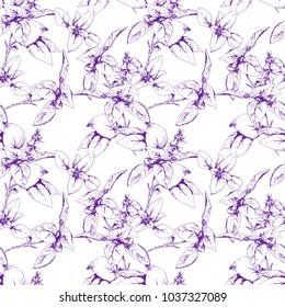 Vector seamless herbal pattern with violet  Basil. Hand drawn botanical illustration for print, wrapping, wallpaper, fabric and other floral design. Engraved sketch.