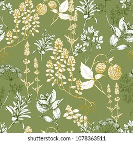 Vector seamless herbs and spices green background. Hand drawn botanical herbal illustration in sketch style for print, textile, wrapping, paper and other nature design.