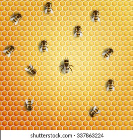 vector seamless honeycomb and bee