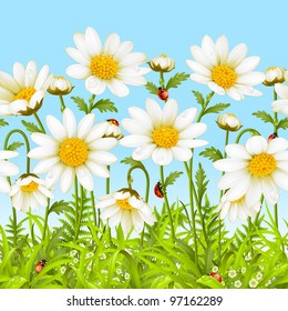 Vector seamless horizontal background with camomile. White flower and green grass.