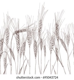 Vector seamless horizontal background with isolated ear of wheat. Black and white hand drawn sketched wheat. Concept for agriculture, organic cereal products, harvesting grain, bakery, healthy food.