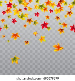 Vector seamless horizontal border with falling maple leaves. Autumn decoration for banners and flyers season design. Isolated on the transparent background.