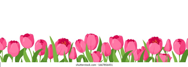 Vector seamless horizontal pattern with tulips for banners, cards, sale card, wallpaper, flyers, invitation, Mother's day, Women's Day. Spring flowers isolated on white background. Springtime