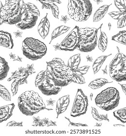 Vector seamless illustration of bergamot fruit, whole, slices, with leaves and flowers in monochrome hand drawn style. Citrus exotic fruit. Engraving. Wallpaper, paper, textile.