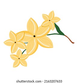 Ilustración vectorial sin fisuras con ramas de flores aisladas en fondo blanco para la boda, tarjeta de saludo, cosméticos, papel envolvente, impresión textil