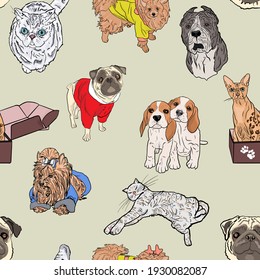 Vector Seamless illustration of cats, dog. Pattern for groomers, veterinary