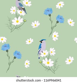 Vector seamless illustration with cornflowers, kosmeja and bird waxwing on a green background. For decorating textiles, packaging, covers.