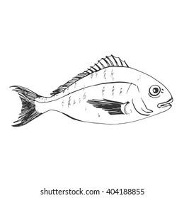 Vector seamless illustration fish dora do