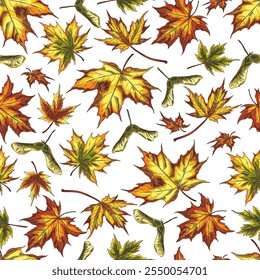 Vector seamless illustration of maple autumn leaves of different colors, with seeds. Red, yellow, green leaves in a bright hand-drawn pattern. Suitable for textiles, wallpaper or wrapping paper.