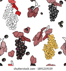 Vector seamless illustration of red, black, yellow currants on a white background. Pattern decorative branch with berries for printing textiles, packaging bamboo, bed, gardeners