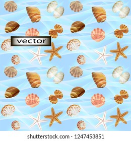 Vector seamless illustration of small shells in the water of the sea wave transparent can be seen starfish at the bottom of the blue background