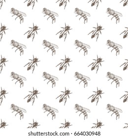 Vector seamless ink hand drawn sketch honey bee pattern. Graphic illustration.