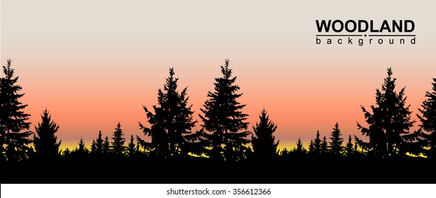 Vector seamless landscape. Silhouette of coniferous trees on the background of colorful sky.