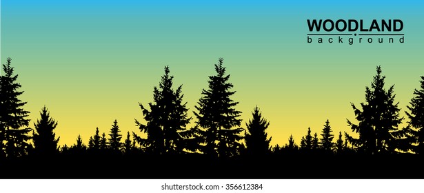 Vector seamless landscape. Silhouette of coniferous trees on the background of colorful sky. Blue and yellow tones.