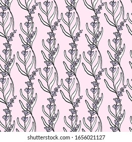Vector seamless Lavender pattern on pink. Hand drawn vintage herbal sketch. Herbal lavender sketch isolated for wallpaper, textile, design packaging, wedding card, natural medicine