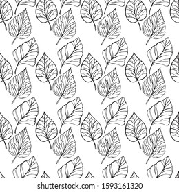 Vector seamless leaf pattern. leaves black outlin white background . Trendy  design concept for fashion textile print. Hand draw illustration.
