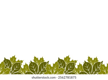 vector seamless leaves border isolated on white background