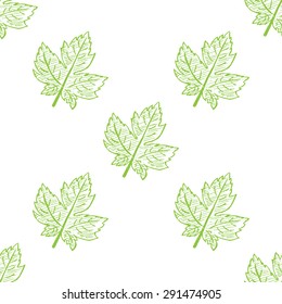 Vector Seamless  Leaves Hand Drawn Pattern. Petal pattern with of colored leaf on white background. Background for your design web pages, textile, banner, scrapbook and etc