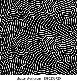 Vector seamless maze pattern. Organic irregular rounded lines. Abstract wavy black and white background.