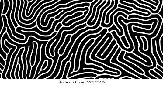 Vector seamless maze pattern. Organic irregular rounded lines. Abstract wavy black and white background.