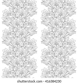 Vector Seamless Monochrome Floral Pattern. Hand Drawn Floral Texture, Decorative Flowers, Coloring Book
