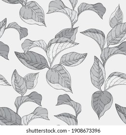 Vector Seamless monochrome pattern with green forest leafs.