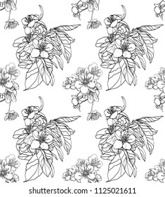 vector seamless monochrome sakura flowers pattern