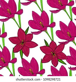Vector seamless natural pattern with pink crocuses on white background.