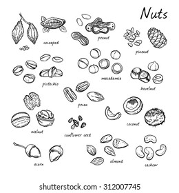 Vector seamless nuts set