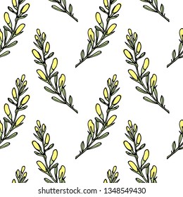 Vector seamless patern with hand drawn dyer's greenweed twigs. Beautiful floral design elements, ink drawing