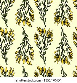 Vector seamless patern with hand drawn dyer's greenweed twigs. Beautiful floral design elements, ink drawing