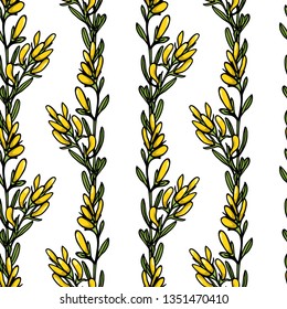 Vector seamless patern with hand drawn dyer's greenweed twigs. Beautiful floral design elements, ink drawing
