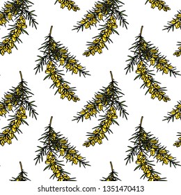 Vector seamless patern with hand drawn gorse twigs. Beautiful floral design elements, ink drawing