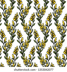 Vector seamless patern with hand drawn dyer's greenweed twigs. Beautiful floral design elements, ink drawing