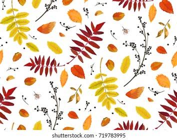 Vector Seamless patten background floral watercolor style Autumn fall season colorful falling orange yellow red fall leaves berries forest tree. Decorative Fabric textile paper print lovely texture