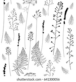 Vector seamless patten and hand drawn wild flowers  herbs   grasses Silhouettes different plants    fern leaves  shepherds purse  lavender  dill  queen anne lace in black white background 