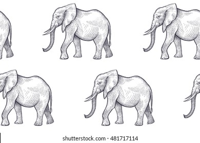 Vector seamless pattern with African animals. Hand drawing of black elephants on a white background.