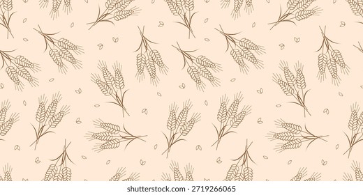 Patrón sin fisuras de Vector con trigo agrícola y espigas de grano. Fondo de envasado de pan o cerveza, agricultura, conceptos de alimentos orgánicos.