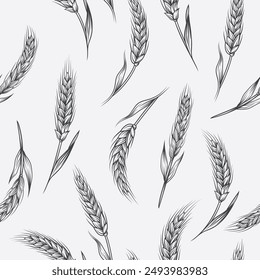 Vector Seamless Pattern with Agriculture Wheat, Cereal Ears. Organic Wheat, Rice Ears. Grain Ear Design Template for Bread, Beer Packaging, Farming, Organic Food Concept