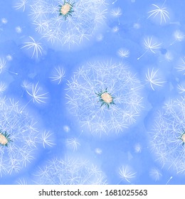 Vector seamless pattern with airy white dandelions and flying fluffs. Summer spring floral background with watercolor texture.