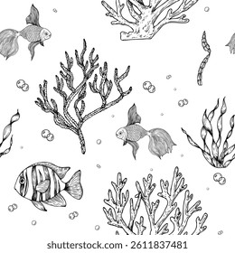 Padrão de vetor sem emenda com algas, corais. Cavalo-marinho e peixes tropicais. Algas marinhas pintadas à mão, laminária. Grafo clip art de rocha isolado no fundo. Ilustração subaquática. Para designers