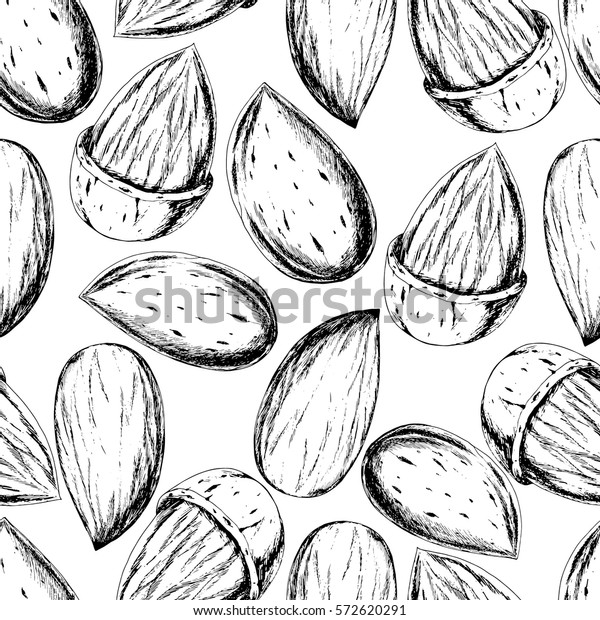 Vector Seamless Pattern Almond Hand Drawn Stock Vector Royalty Free