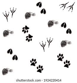 Vector Seamless Pattern Animals Footprints Background