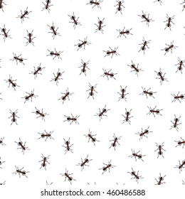 Vector seamless pattern with ants