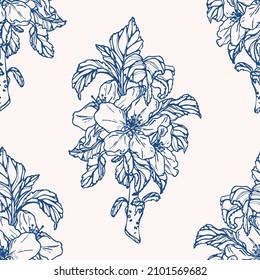 Vector seamless pattern with apple blossom. Hand drawn textures. Elegant seamless botanical pattern for paper, fabric, wallpaper, surface design
