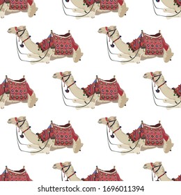 Vector seamless pattern with arabian one-humped camel dromedary with bridle and saddle. Desert animal background, wallpaper, wrapping paper.