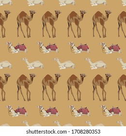 Vector seamless pattern with arabian one-humped camel dromedary. Desert animal background, wallpaper, wrapping paper.