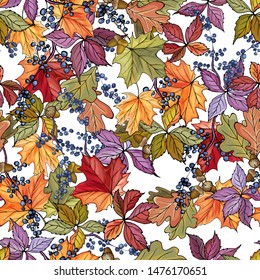 Vector Seamless Pattern of Autumn Colorful  Leaves and wild grape on White Background. Pattern for Textile Design, Fabric Printing, Packaging, Wallpaper, Book cover, Invitation.