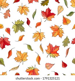 Vector seamless pattern of autumn colorful leaves on white. Background with maple, oak, birch leaf. Illustration for wrapping paper design, autumn sales, wallpaper, textile.