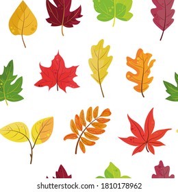 Un patrón vectorial sin fisuras de hojas coloridas de otoño naranja, amarillo, rojo y verde. Foliage en un estilo plano sobre un fondo blanco .  para papel de envoltura de otoño, salvapantallas, textiles, papel tapiz